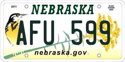NE license plate AFU599