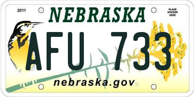 NE license plate AFU733