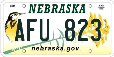 NE license plate AFU823