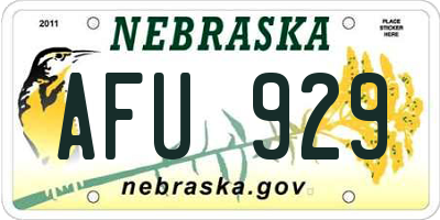 NE license plate AFU929