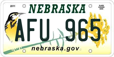 NE license plate AFU965