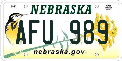 NE license plate AFU989