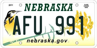 NE license plate AFU991