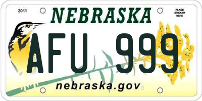 NE license plate AFU999