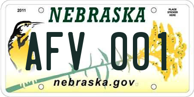 NE license plate AFV001