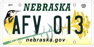 NE license plate AFV013