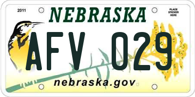 NE license plate AFV029