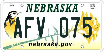NE license plate AFV075