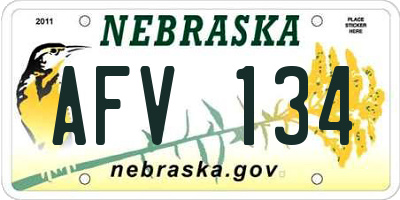 NE license plate AFV134