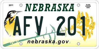 NE license plate AFV201