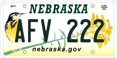 NE license plate AFV222