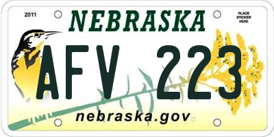 NE license plate AFV223