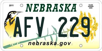 NE license plate AFV229