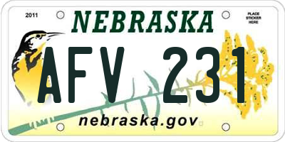 NE license plate AFV231