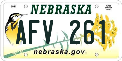 NE license plate AFV261