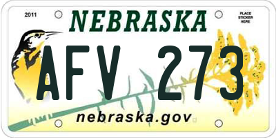 NE license plate AFV273