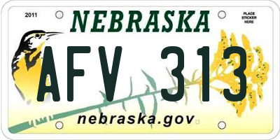 NE license plate AFV313