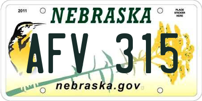 NE license plate AFV315