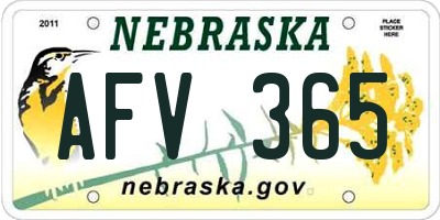 NE license plate AFV365