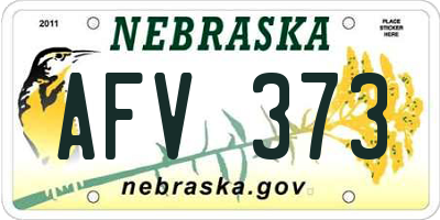NE license plate AFV373
