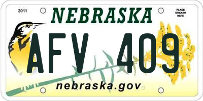 NE license plate AFV409