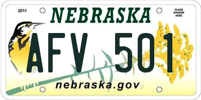 NE license plate AFV501