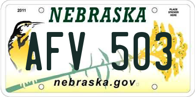 NE license plate AFV503