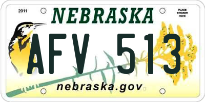 NE license plate AFV513