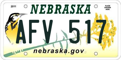 NE license plate AFV517
