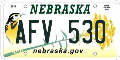 NE license plate AFV530