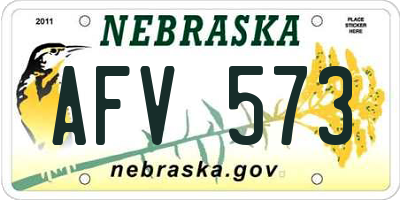 NE license plate AFV573