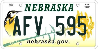 NE license plate AFV595