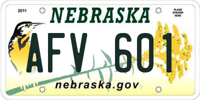 NE license plate AFV601