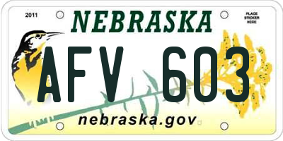 NE license plate AFV603