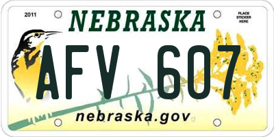 NE license plate AFV607