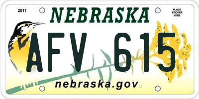 NE license plate AFV615