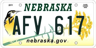 NE license plate AFV617