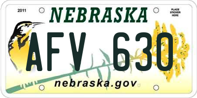 NE license plate AFV630