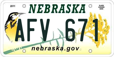 NE license plate AFV671