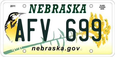 NE license plate AFV699