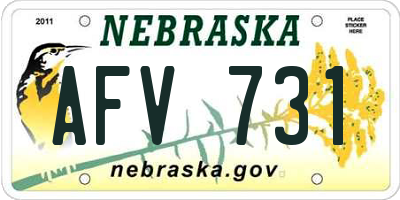 NE license plate AFV731