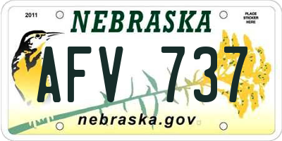 NE license plate AFV737