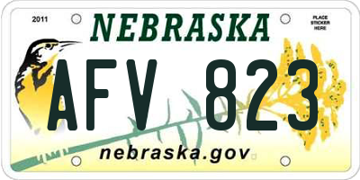 NE license plate AFV823