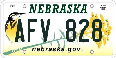 NE license plate AFV828