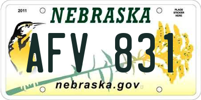 NE license plate AFV831