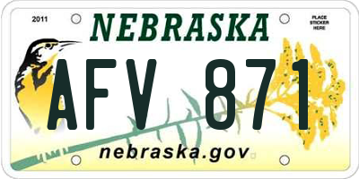 NE license plate AFV871