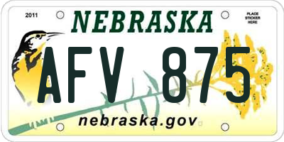 NE license plate AFV875