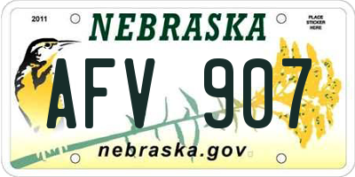 NE license plate AFV907