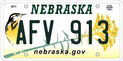 NE license plate AFV913