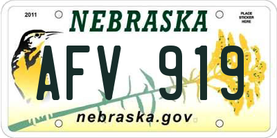 NE license plate AFV919